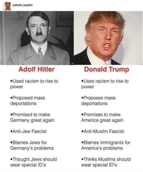 wp-1449604912658 image