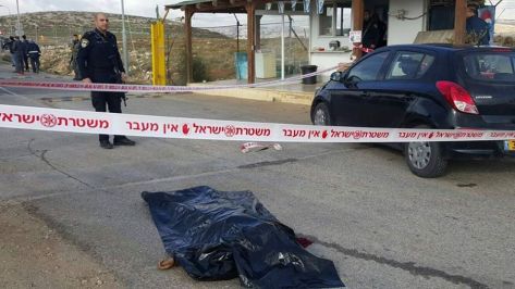 7c01d8a0-db46-40e0-a5d0-4f8667bffc2d.jpg image